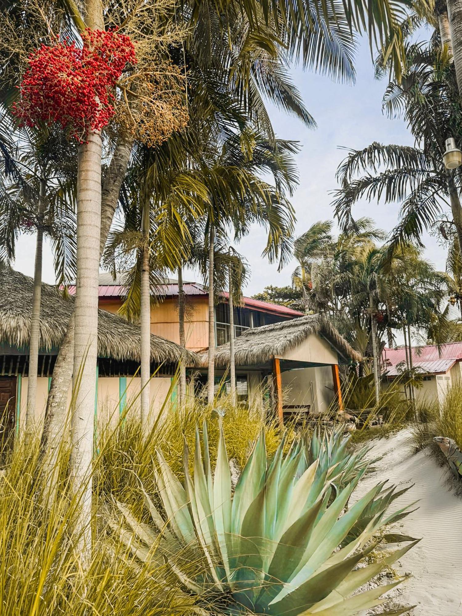 Van Rey Farms Hotel Seine Bight Village Exterior photo